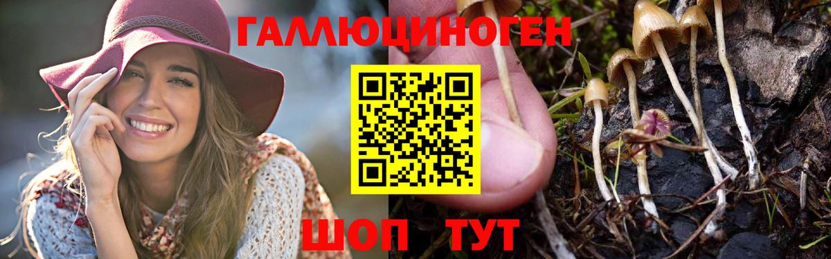 Галлюциногенные грибы MAGIC MUSHROOMS Азов